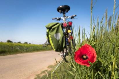 01c_kloiberguetl_sommer_radweg.jpg